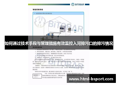 如何通过技术手段与管理措施有效监控入河排污口的排污情况