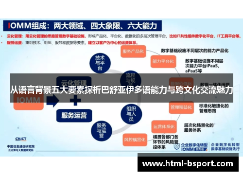 从语言背景五大要素探析巴舒亚伊多语能力与跨文化交流魅力