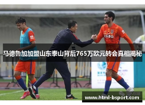 马德鲁加加盟山东泰山背后765万欧元转会真相揭秘